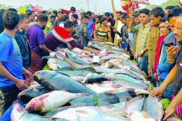 চোখ জুড়ানো মাছের মেলা