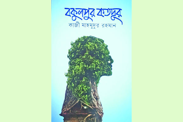 বকুলপুর কতদূর