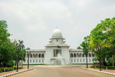 সরকারি প্রকল্পের গাছ কাটতেও নিতে হবে অনুমতি: হাইকোর্ট