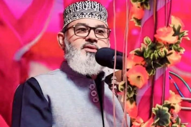 ফ্যাসিবাদী ব্যবস্থার পরিবর্তন করতে হ্যাঁ ভোট দিন: মাসুদ সাঈদী