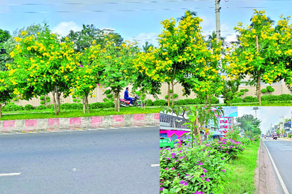 সড়কে চোখ আটকে যায় ফুলের শোভায়