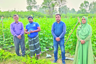 শীতকালীন সবজিতে কৃষকের মুখে হাসি