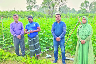 শীতকালীন সবজিতে কৃষকের মুখে হাসি