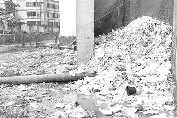 ময়লার ভাগাড়ে বেড়েছে স্বাস্থ্যঝুঁকি