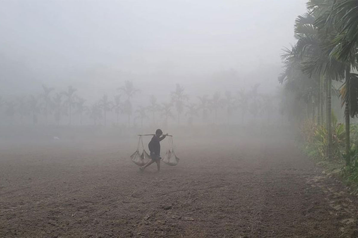 শীতে কাঁপুনি কমবে নাকি বাড়বে, জানাল আবহাওয়া অফিস