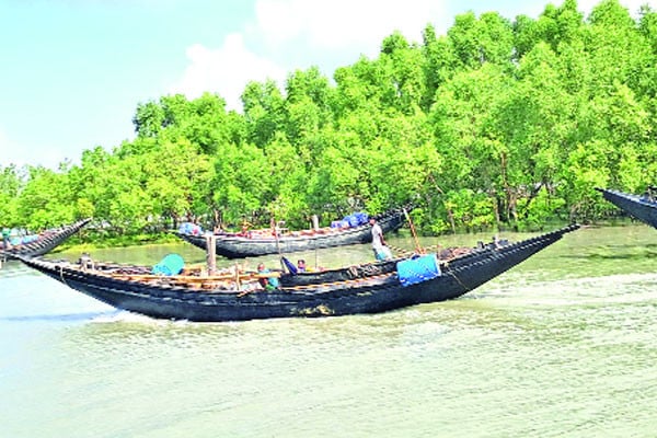 সুন্দরবনে আবারও বনদস্যুর হানা