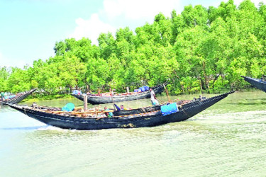 সুন্দরবনে আবারও বনদস্যুর হানা