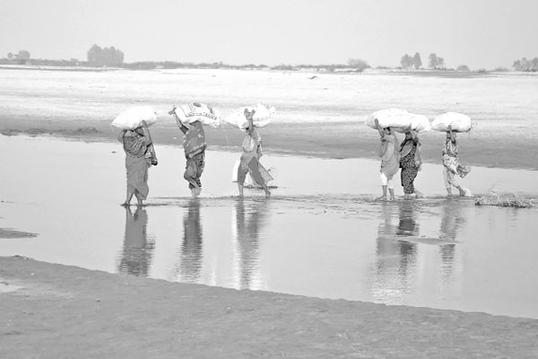 করুণ দশায় যমুনা-বাঙালি নদী