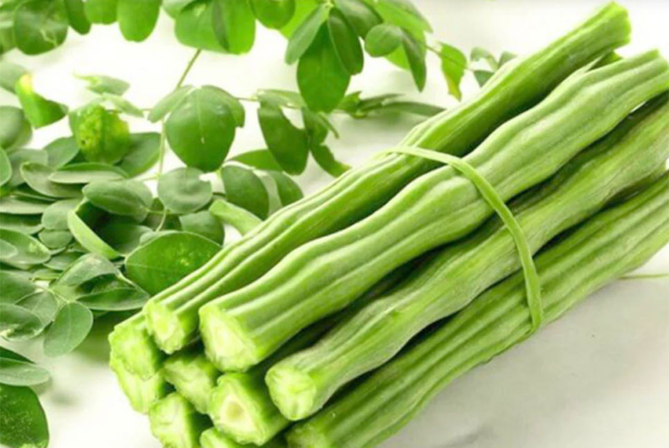 ডায়াবেটিস নিয়ন্ত্রণে শজনে ডাঁটা