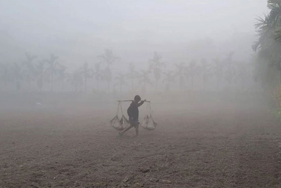 শীত কমবে নাকি বাড়বে, সারাদেশে যেমন থাকবে আবহাওয়া