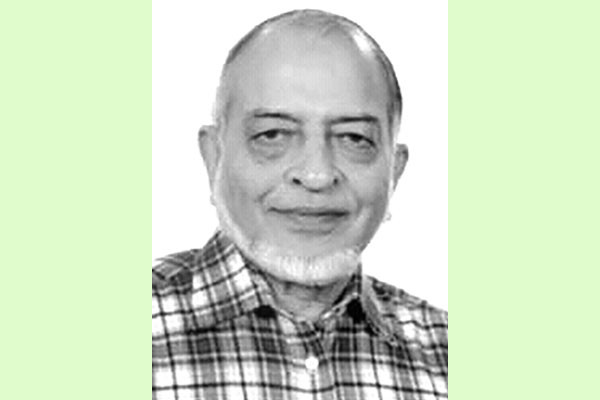 দূষণে বিপন্ন পরিযায়ী পাখি