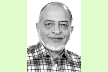 দূষণে বিপন্ন পরিযায়ী পাখি