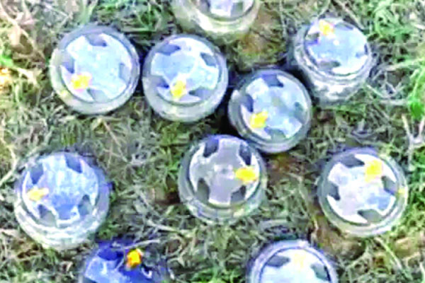 সীমান্তে ৩০০ স্থলমাইন বসিয়েছে আরাকান আর্মি