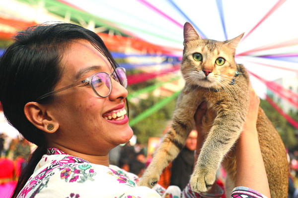 অন্যরকম পেট কার্নিভাল