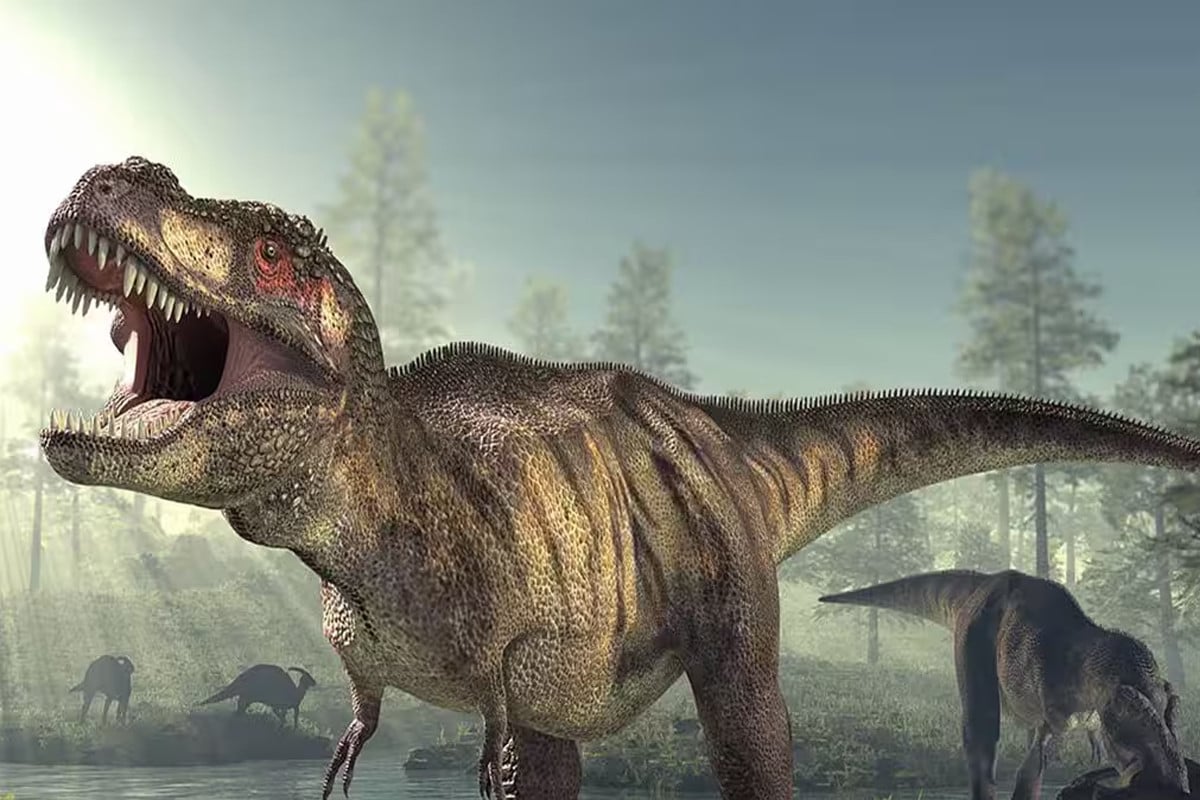 ডাইনোসরদের রাজা কত দিন বাঁচত? নতুন গবেষণায় বদলে গেল হিসাব