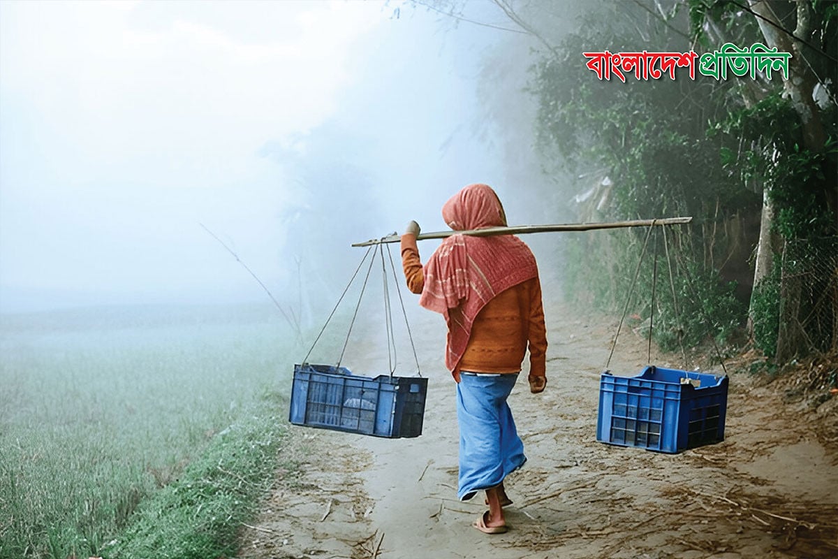 মাঘের শুরুতে যে কারনে কমেছে শীতের তীব্রতা