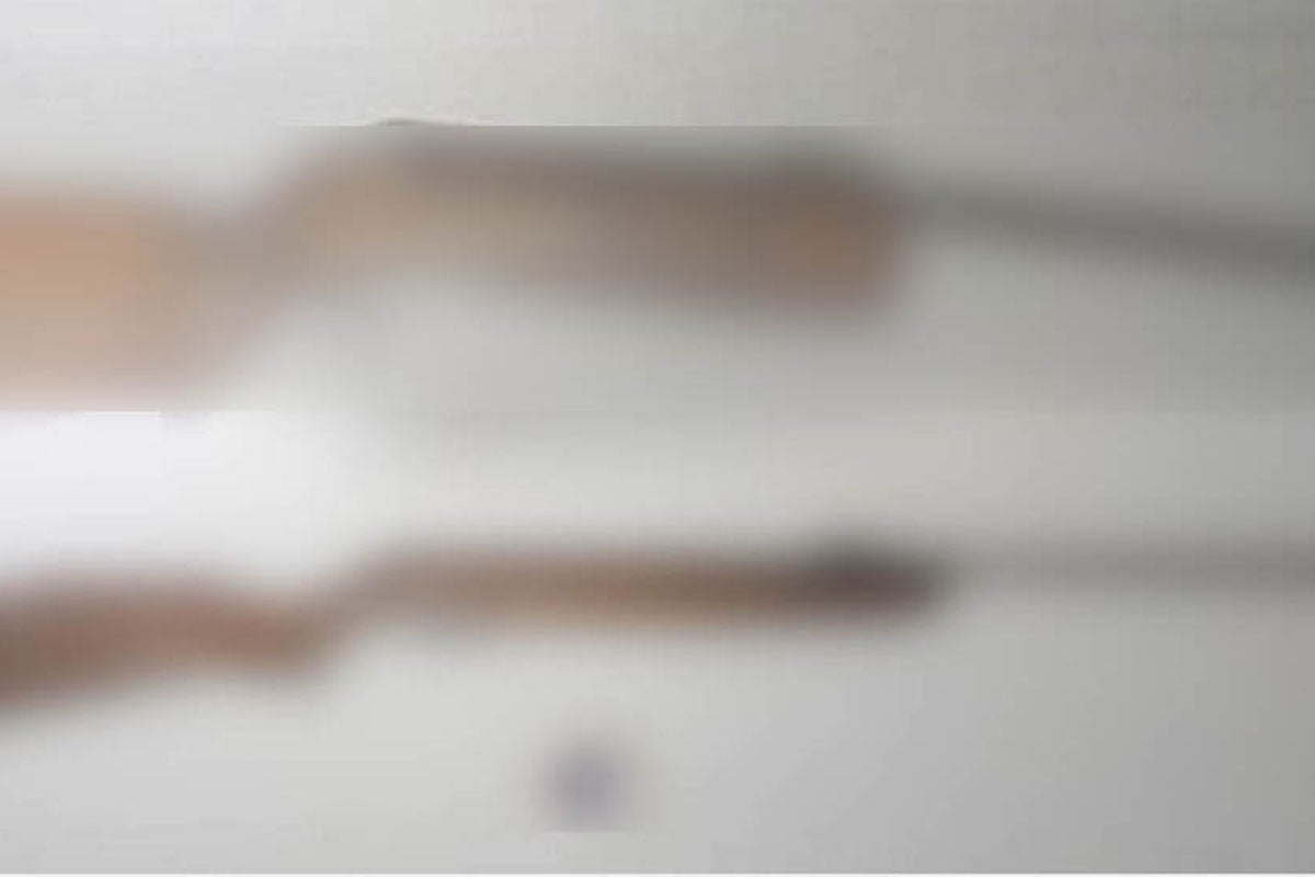 সিলেটে বাঁশঝাড়ে মিললো গুলিসহ ২টি এয়ারগান