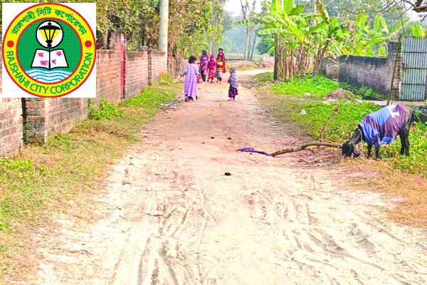 মিলছে না নাগরিক সেবা