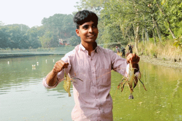 নওগাঁয় গলদা চিংড়ি চাষে তরুণ রাজুর সাফল্য