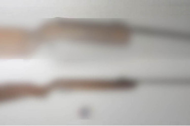 সিলেটে বাঁশঝাড়ে মিললো গুলিসহ ২টি এয়ারগান