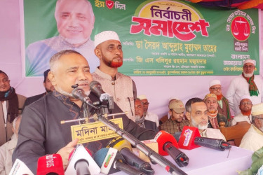 ভারতকে যাদের বন্ধু মনে করে, তারাই হিন্দুদের জায়গা দখল করেছে: ডা. তাহের