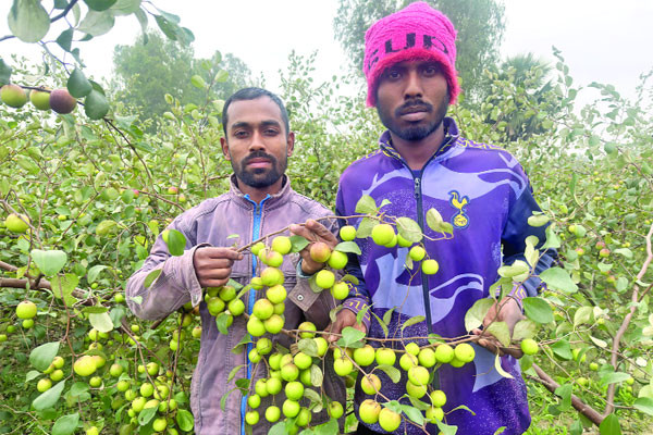 বল সুন্দরীতে বাজিমাত