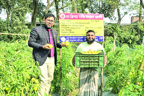 সবজি চাষে ভাগ্যবদল অনিকের