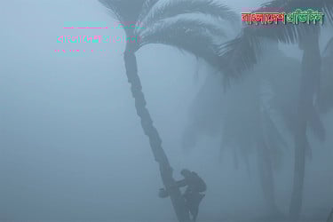 তিন জেলায় বইছে মৃদু শৈত্যপ্রবাহ