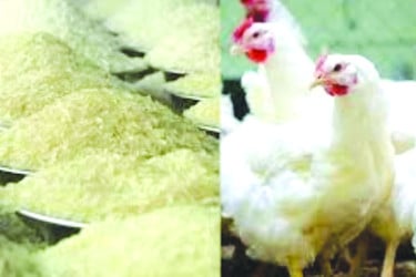 ঊর্ধ্বমুখী চালের বাজার মুরগির দামও চড়া