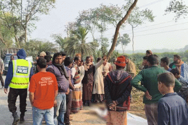 শৈলকুপায় ট্রাকচাপায় বাইসাইকেল চালক নিহত