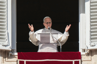 ইউক্রেন যুদ্ধ বন্ধের আহ্বান পোপের