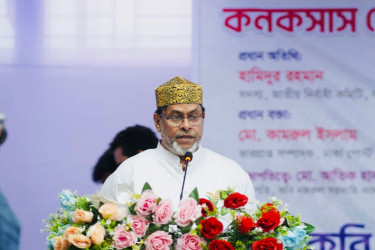 বিএনপি ক্ষমতায় গেলে গণমাধ্যমের স্বাধীনতা নিশ্চিত করা হবে: হামিদুর রহমান