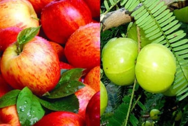 আপেলের চেয়ে কয়েকগুণ বেশি উপকারি যে ফল!