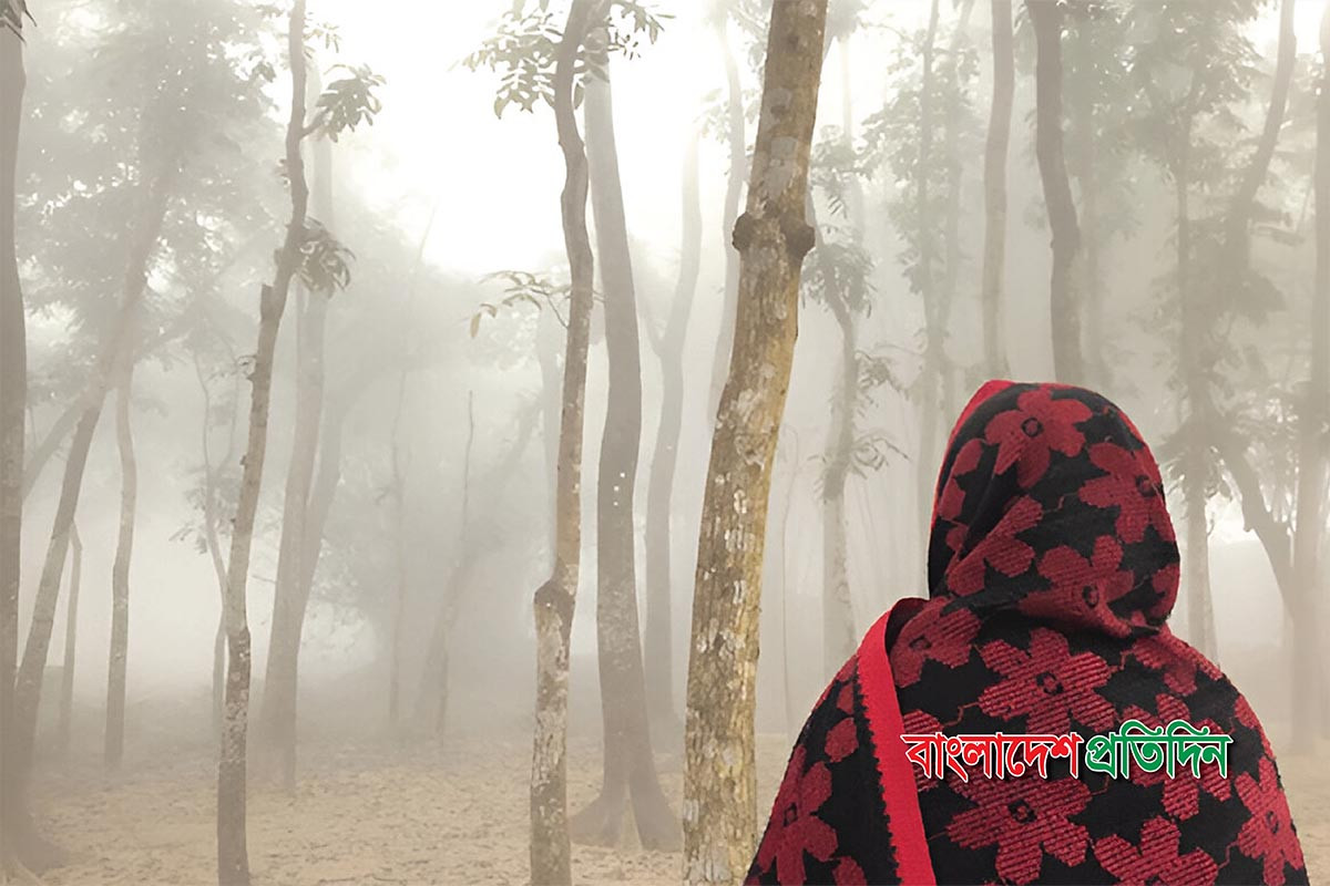 টানা চার দিন দেশের সর্বনিম্ন তাপমাত্রা শ্রীমঙ্গলে