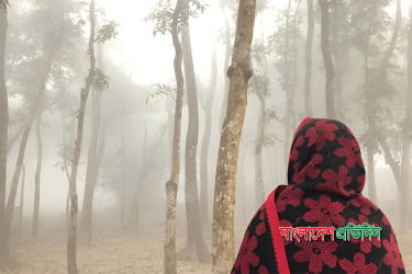 টানা চার দিন দেশের সর্বনিম্ন তাপমাত্রা শ্রীমঙ্গলে