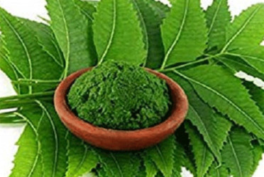 কৃমি নির্মূল করে যে পাতার রস