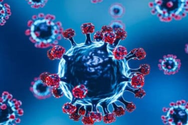 ভাইরাসের প্রাদুর্ভাব, দেশে দেশে সতর্কতা