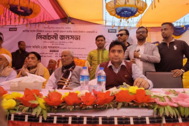 নোয়াখালী-৪ আসনে ধানের শীষে ভোট চাইলেন ছাত্রদলের সাধারণ সম্পাদক