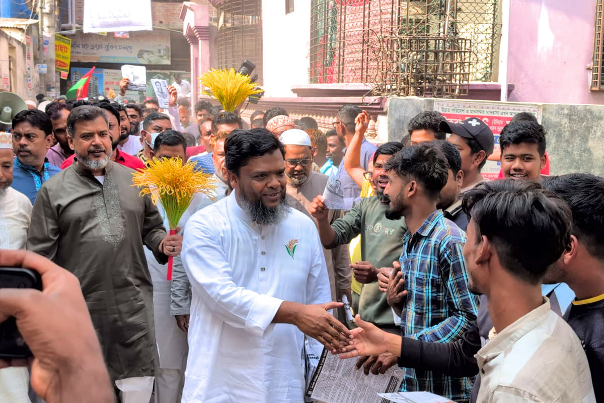 দেশের সার্বভৌমত্ব রক্ষায় ধানের শীষকে বিজয়ী করুন : রবিন