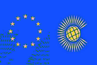 বড় পর্যবেক্ষক দল পাঠাবে কয়েকটি আন্তর্জাতিক সংস্থা