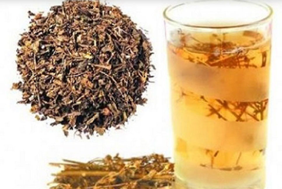 তারুণ্য ধরে রাখতে চিরতা
