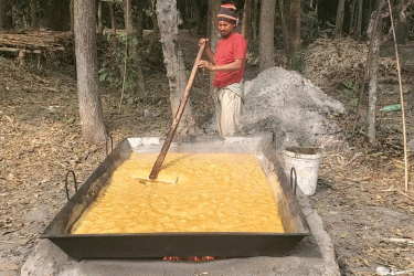 ক্ষেতেই মিলছে খাঁটি গুড়