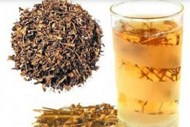 তারুণ্য ধরে রাখতে চিরতা