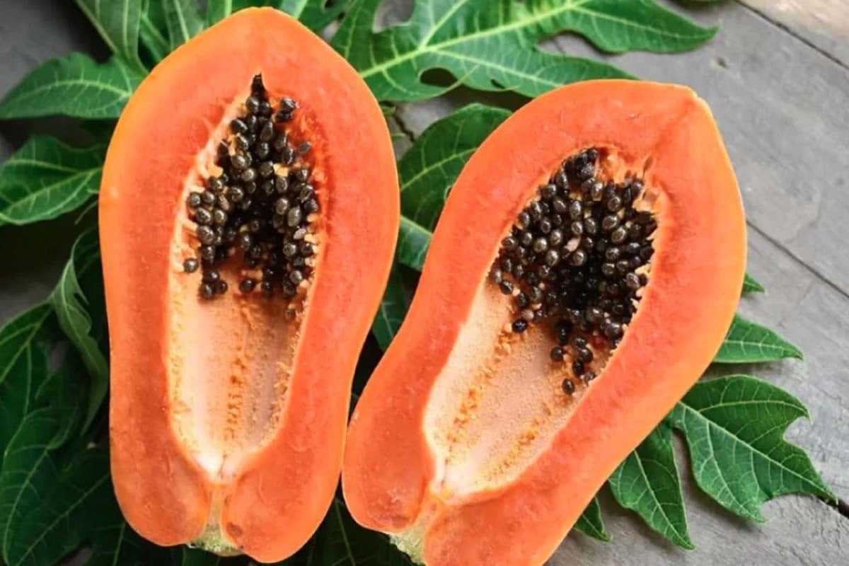 ফেলনা নয় পেঁপের বীজ, জানুন স্বাস্থ্য উপকারিতা