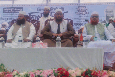 আমাদের নির্বাচনী প্রতীক রিকশা, যা সাধারণ মানুষের প্রতীক: মামুনুল হক