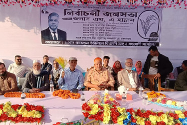 নাসিরনগরে বিএনপির নির্বাচনি জনসভা