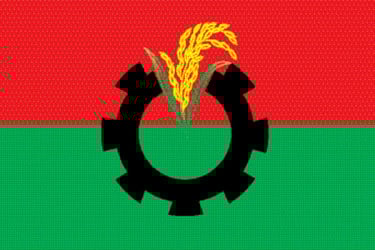 প্রার্থীদের তথ্য গোপনে ক্ষতিগ্রস্ত বিএনপি