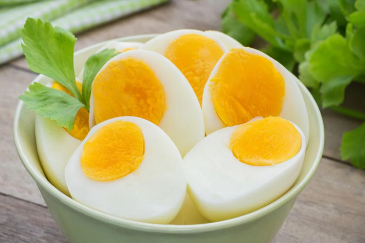 সকালে সেদ্ধ ডিম খাচ্ছেন? জেনে নিন উপকারিতা