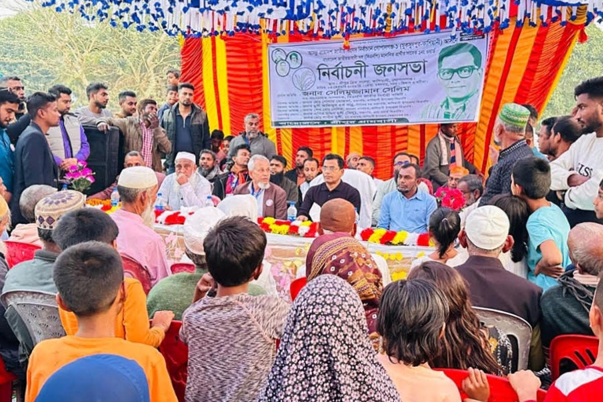 উন্নয়নের স্বার্থে ধানের শীষে ভোট দিন: সেলিমুজ্জামান