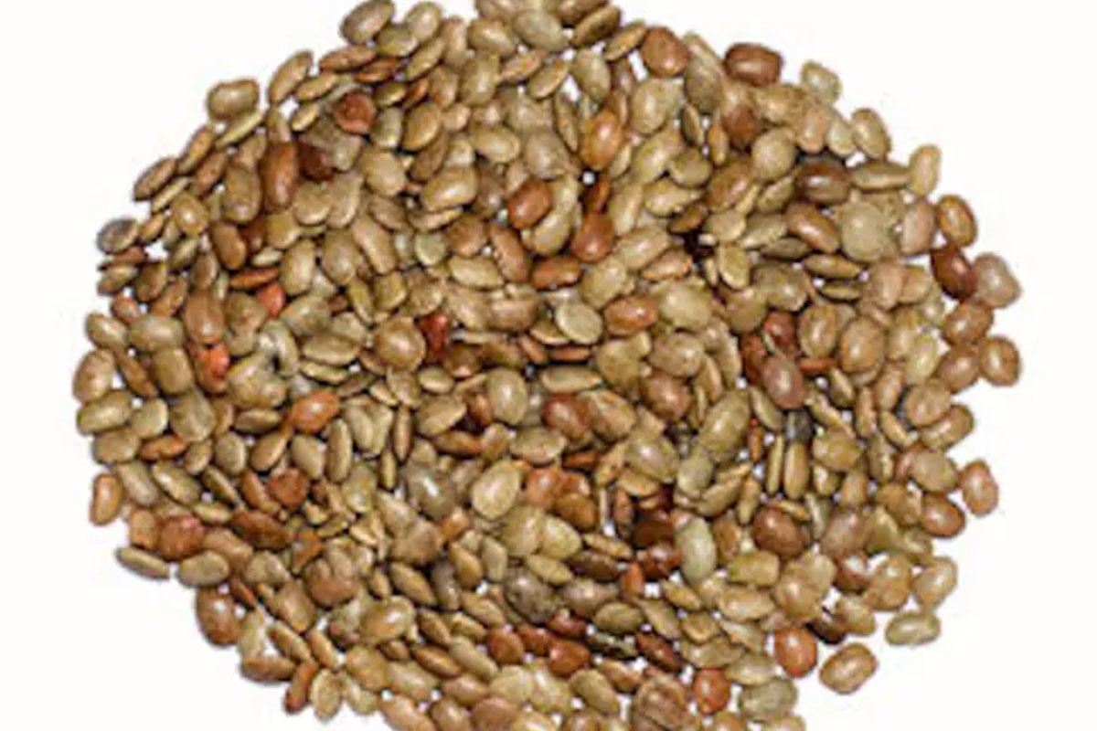 স্বাস্থ্যগুণে ভরপুর : এই ডালে মিলবে ৫টি বড় উপকার